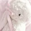 .angieyay