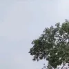 adjakmsjsk