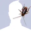 tranhoainam2109