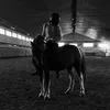 h.luv_horse