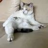 itsmacieyes