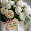 ahlemblida1
