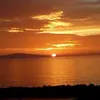 sorayamehdi
