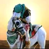 farmanullah9984