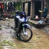 Phát Cỏ