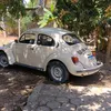 alguemsemacento
