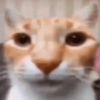b4byv4mpiere
