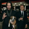 .t1x21