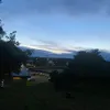 fifatoglory8