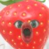 sowshrly