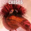 skebob8