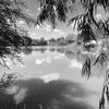 takis_496