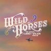 Lainey Wilson’s Wild Horses