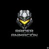 raider.animacion