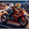 saidkucing