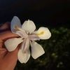 princesszay8