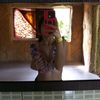 iliamnysmartelo6