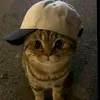 knepnep