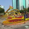 homnayvuive8