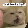 siwbap