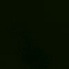 teamnegro_282