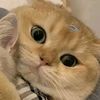 amuzz_mr.zky