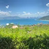 haugiangquetoi095