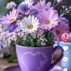 yusif5955712