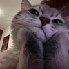 _thuliyyuz