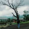 dwiayulestari9333