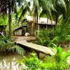phuong.trinh472