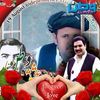 user498082409zadran