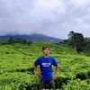 mergi.saputra