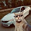 Mouh DZ Auto
