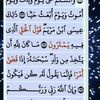 user6199408818341s