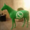 farticus545