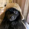 ferty_yo