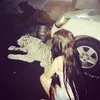 cr0isans