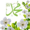 mouhamed.rassoul189
