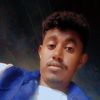 alihamd62