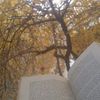 hamouz.ben6