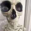 skullbean0