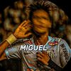 miguel_artx667