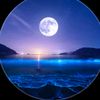 bb_vibes0nly
