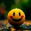user8428126702487