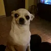 oliviaroxy56