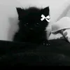 frizi.niz