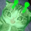qal_happy