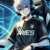 aries_ari04