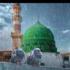 ali.gul.tunio8